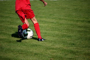 米兰体育app官网-中国职业篮球俱乐部青训体系优化,中国篮球青训现状