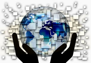 MILAN SPORTS中国站-中国篮球青训体系课程体系优化方案，青训篮球课程教案大全